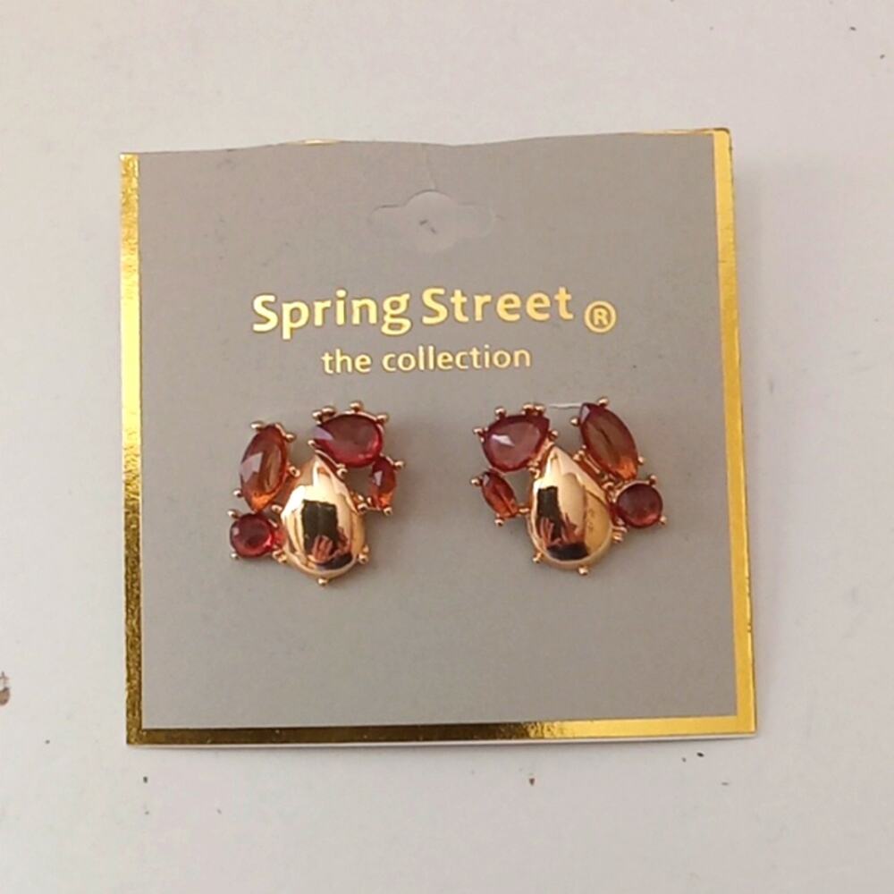 NWT Spring Street Women's pierced earrings. Custom Jewelry.  Dressy
